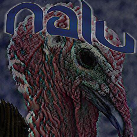 NALU KALKOEN cover art