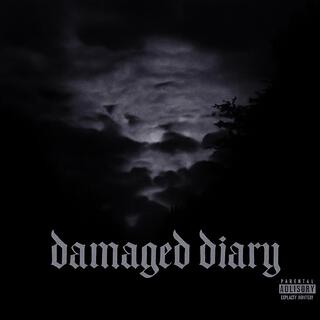 Damaged Diary