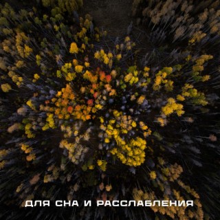 Для Сна и Расслабления