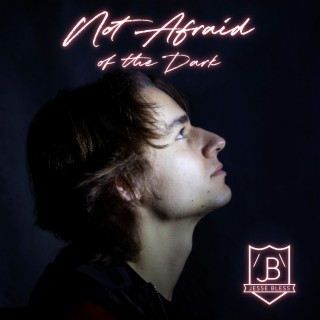 Not Afraid of the Dark cover art