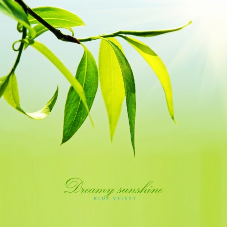 Willow leaves cover art