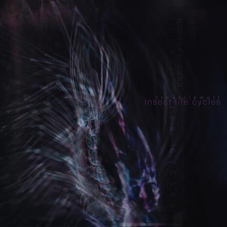 Broken Lullaby (Adult) cover art