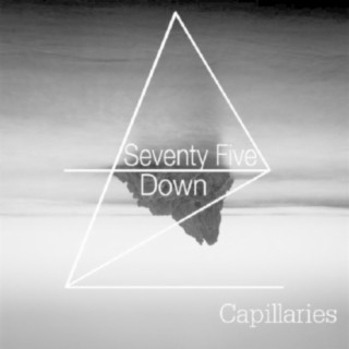 Capillaries