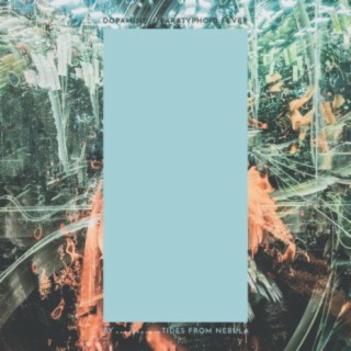 Paratyphoid Fever cover art