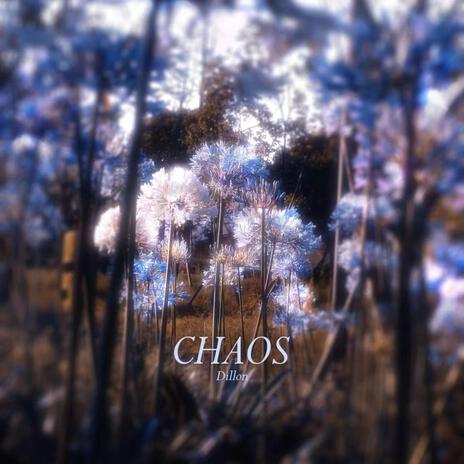 楚门的世界 cover art