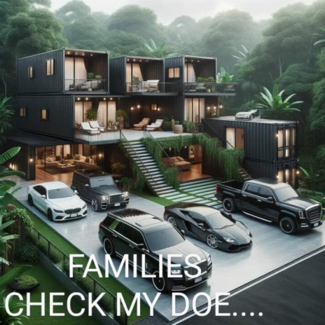 FAMILIES CHECK MY DOE (Extended Version) cover art