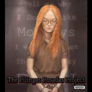 The Pilingas Rosadas Project