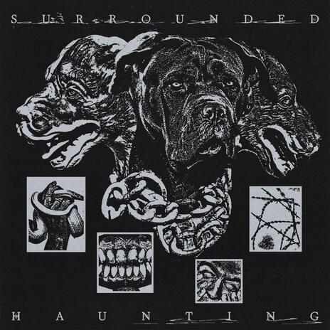 Surrounded cover art