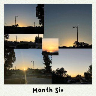 Month Six