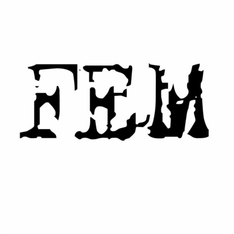 Fem cover art