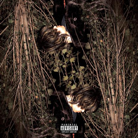 Reset cover art