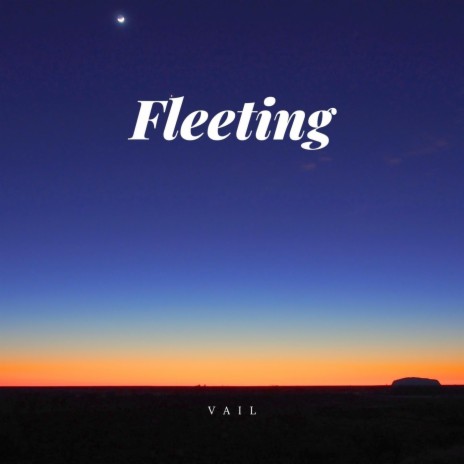 Fleeting cover art
