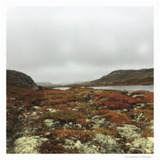 The Mermaids of Bergsjøn cover art