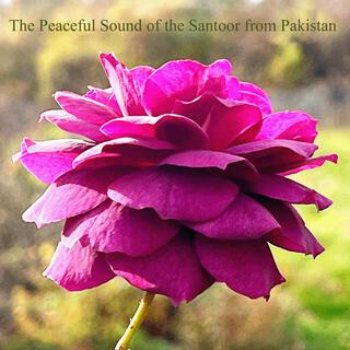 The Peaceful Sound of the Santoor from Pakistan