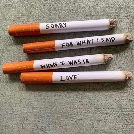im sorry for what i said when i was in love cover art