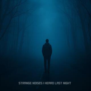 Strange Noises I Heard Last Night