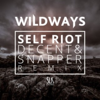 Self Riot (Decent & Snapper Remix) cover art