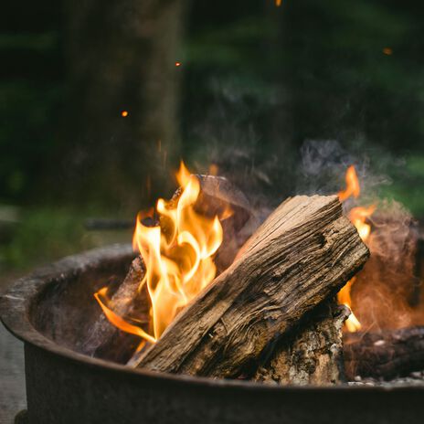 The Fire ft. Bird Sounds & Nature Sounds Artists cover art