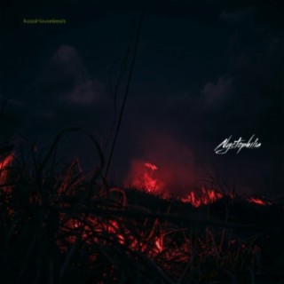 Nyctophilia