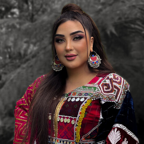 Paayzib
