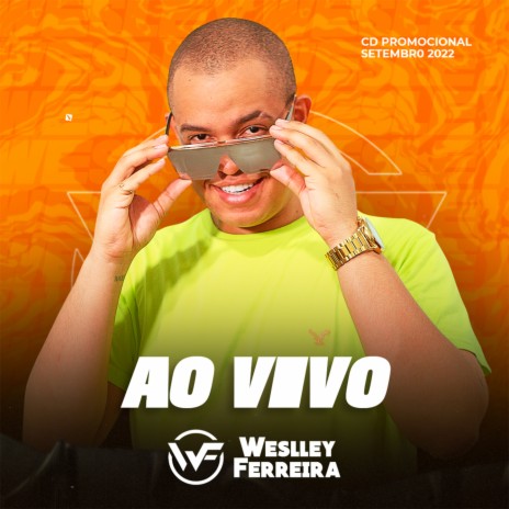 No Meu Cross Fox cover art