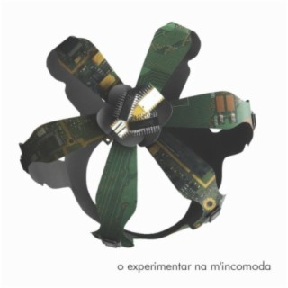 O Experimentar Na M'incomoda