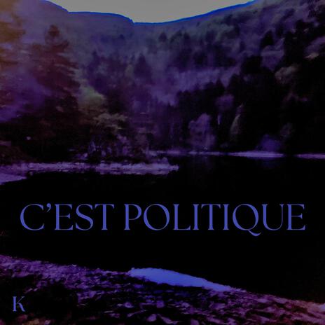 C'EST POLITIQUE cover art