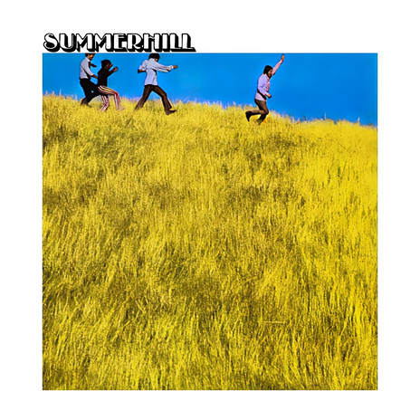 The Bird cover art