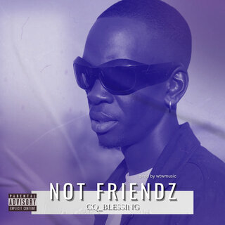 Not Friendz cover art