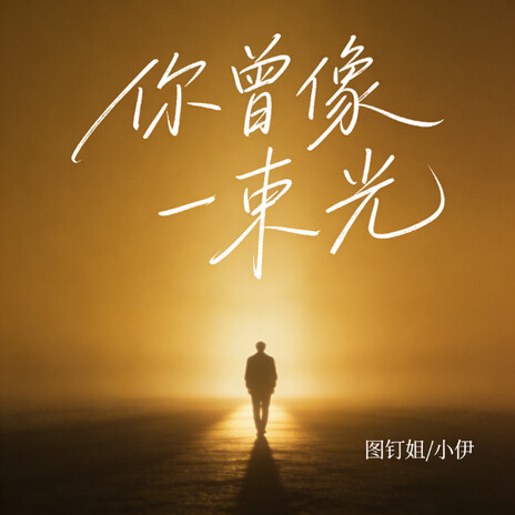你曾像一束光 (女版) ft. 小伊 cover art