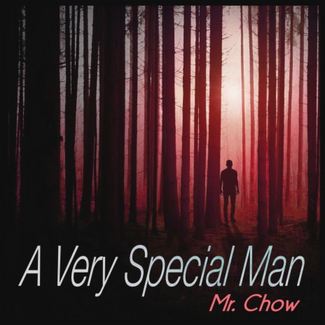 A Very Special Man cover art