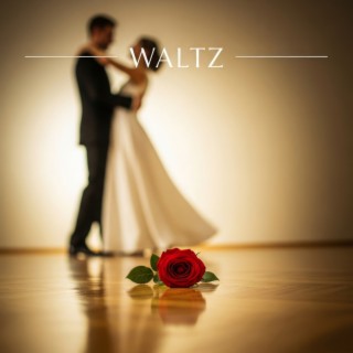 Curtain Rise in Vienna | Waltz for the Floor