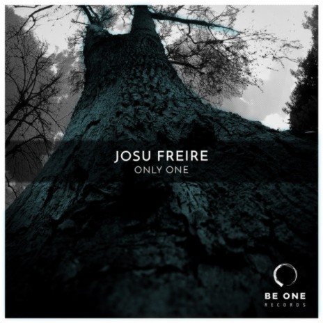 Josu Freire