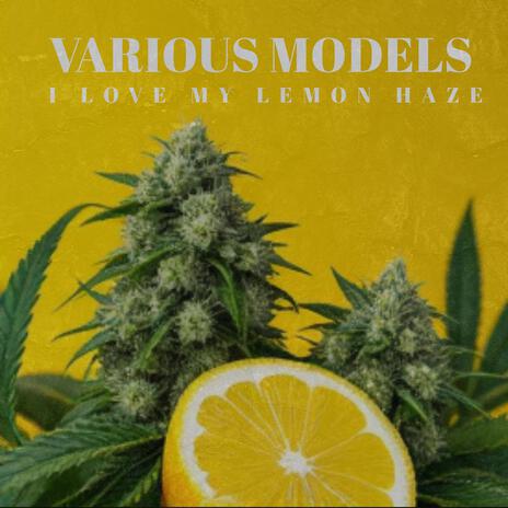 I Love My Lemon Haze cover art