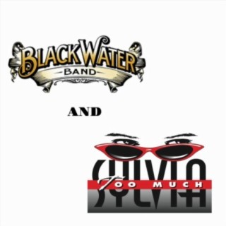 The Boys Are Back in Town ft. Blackwater Band cover art