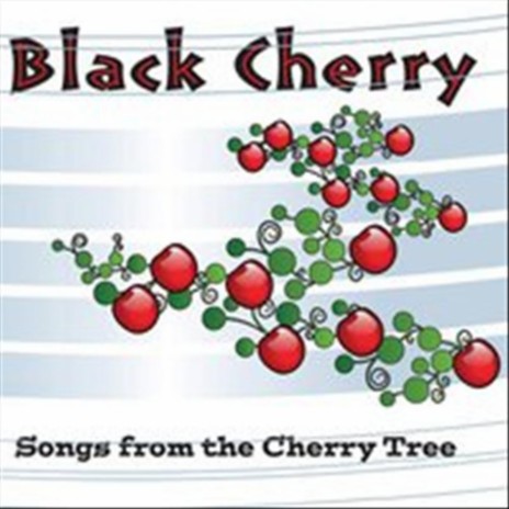 Little Blackbird cover art