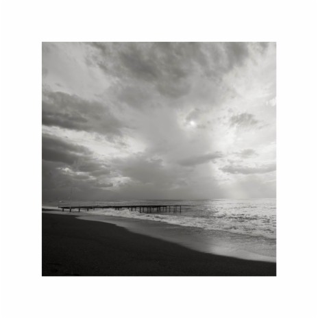 Fleeting cover art