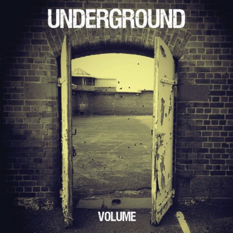 Shadow cover art