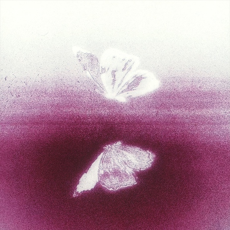 have to have you cover art