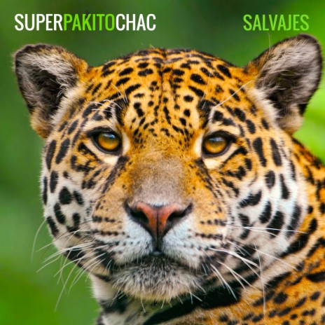La Diferencia del Sur cover art
