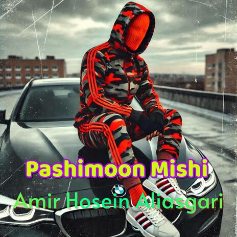 Pashimoon Mishi cover art