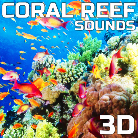 Relaxing Coral Reef Sounds 3D ft. 3D Ocean Sounds, 3D Nature Sounds, 3D White Noise, Awakening Nature Sounds & Awakening Ocean Sounds 3D cover art