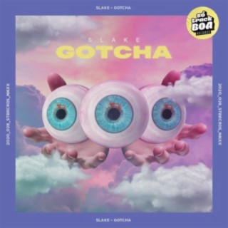 Gotcha cover art