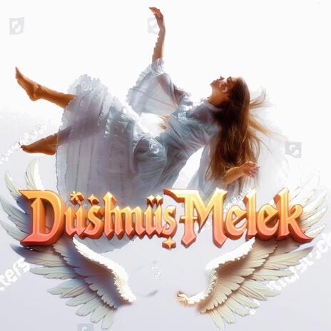 Düşmüş melek cover art
