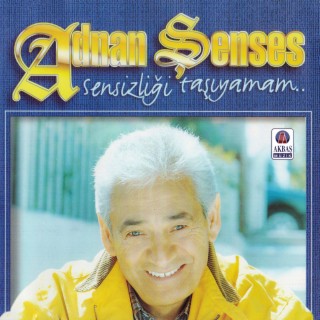 Sensizliği Taşıyamam