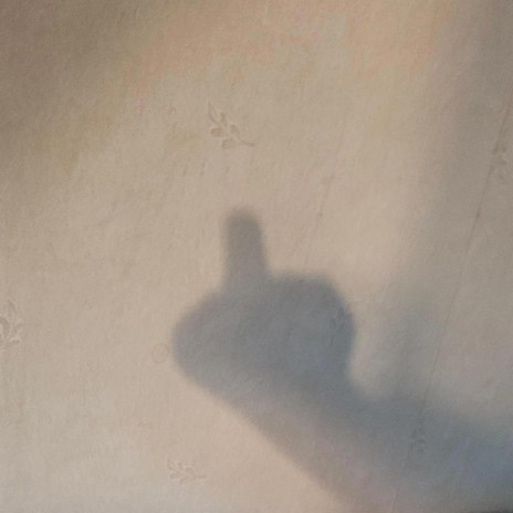 the shadow(yeah) cover art