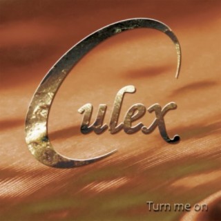 Culex