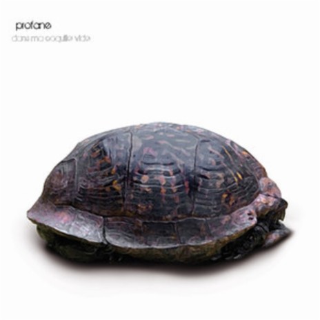 Oui c'est Vrai cover art