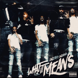 What it means cover art