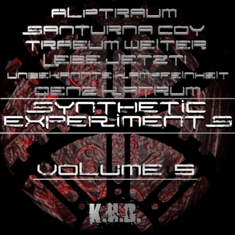 Unbekannte Kampfeinheit (Original Mix) cover art